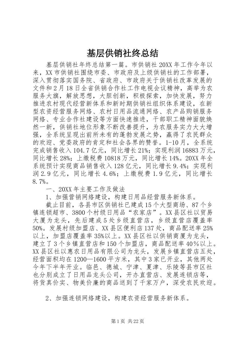 2024年基层供销社终总结_第1页