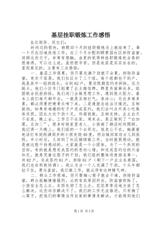 2024年基层挂职锻炼工作感悟