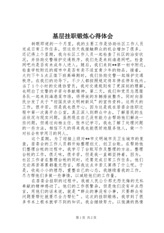 2024年基层挂职锻炼心得体会