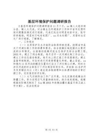 2024年基层环境保护问题调研报告