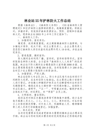 2024年林业站护林防火工作总结