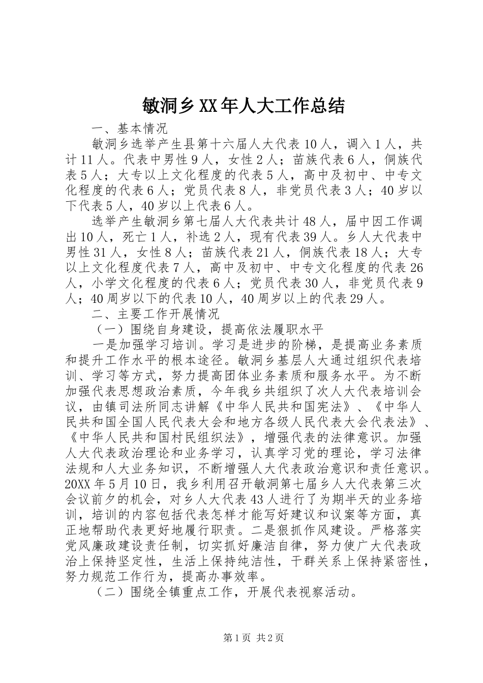 2024年敏洞乡人大工作总结_第1页