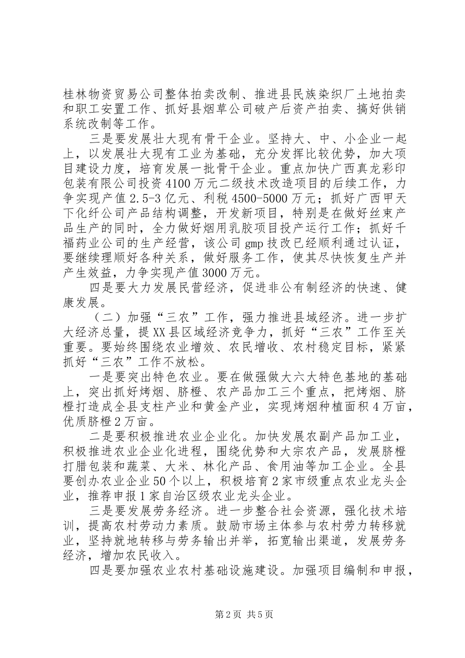 2024年某县人民政府工作建议_第2页