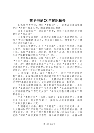 2024年某乡书记述职报告