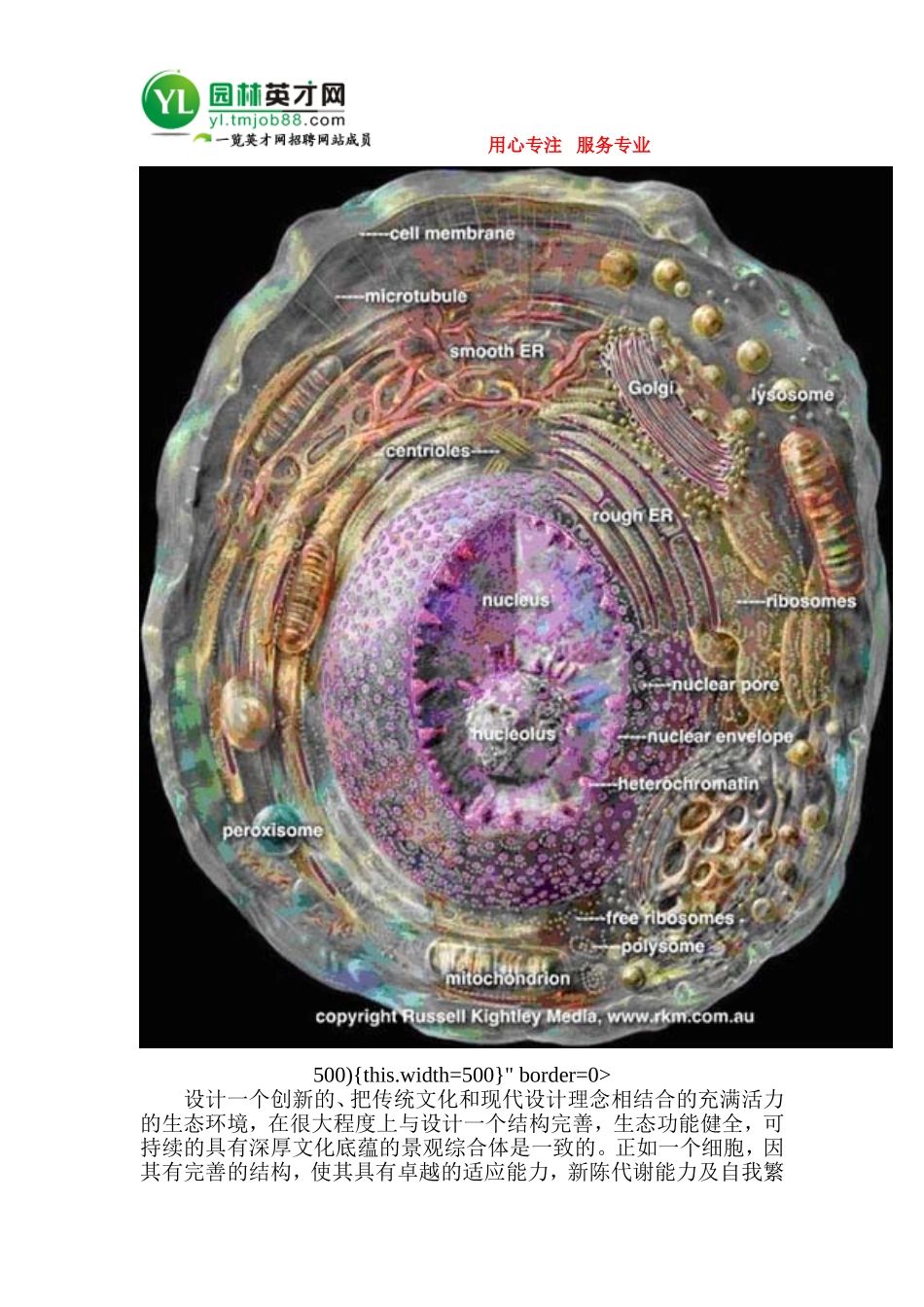 土家部落的成长_第3页