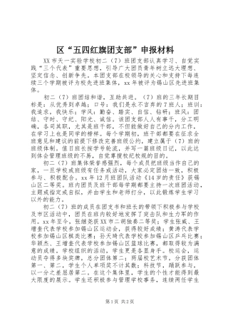 2024年区五四红旗团支部申报材料