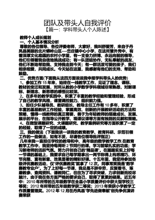 团队及带头人自我评价