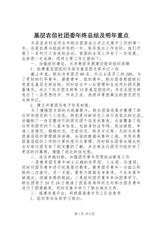 2024年基层农信社团委年终总结及明年重点