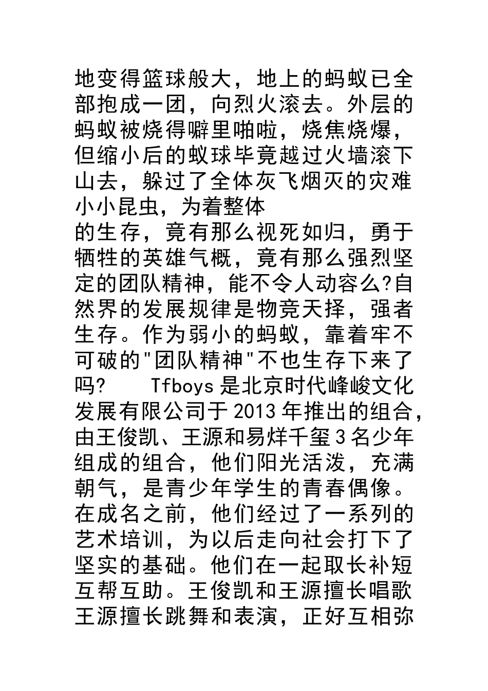 团队精神的重要性_第2页