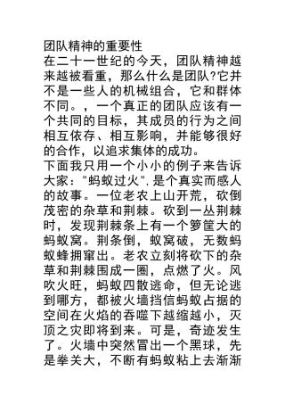 团队精神的重要性