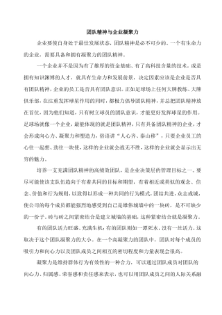 团队精神与企业凝聚力