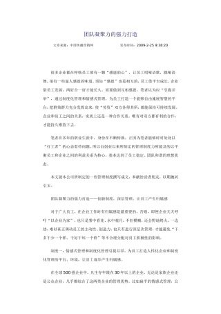 团队凝聚力的强力打造