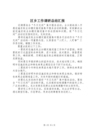 2024年区乡工作调研总结汇报