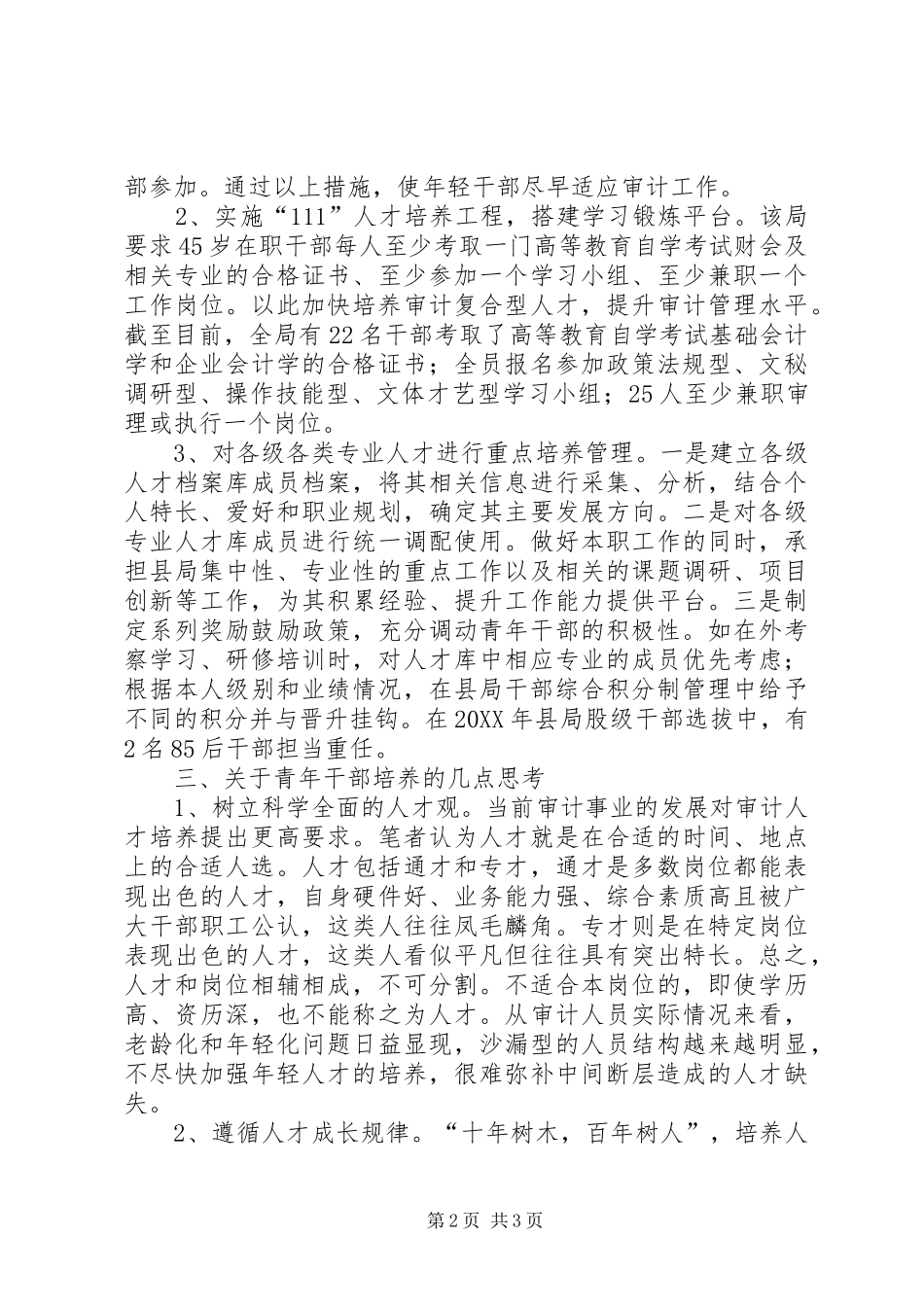 2024年基层审计部门加强青年干部素质培养的思考_第2页