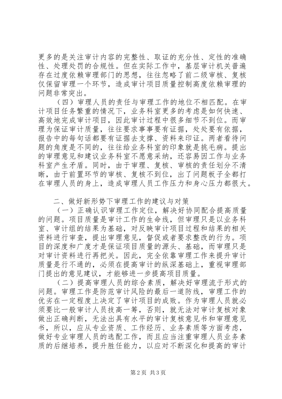 2024年基层审计工作存在的问题及对策_第2页