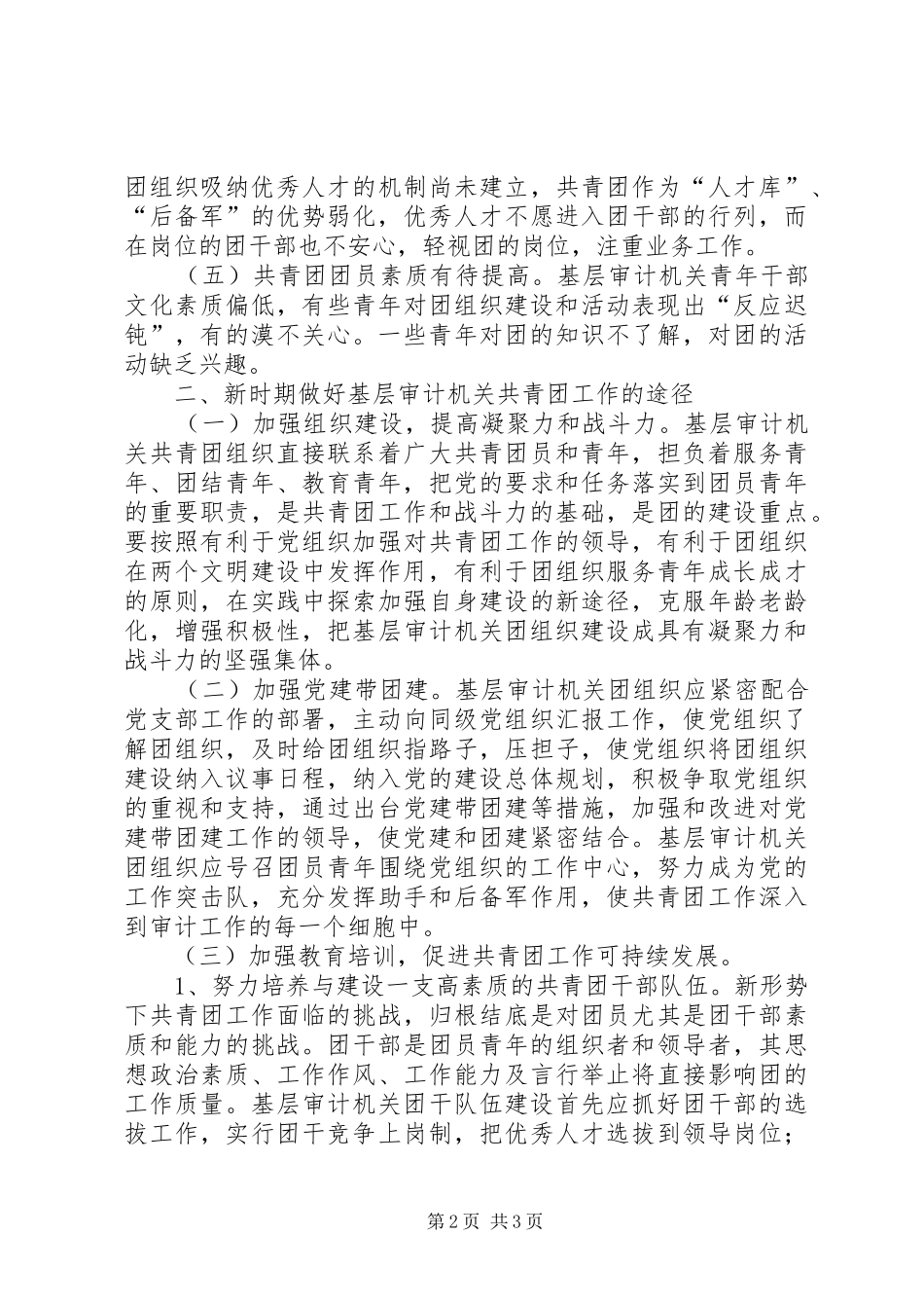2024年基层审计机关共青团工作存在的问题及解决途径_第2页