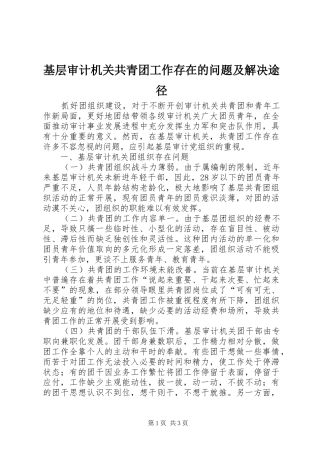 2024年基层审计机关共青团工作存在的问题及解决途径