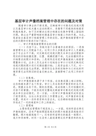 2024年基层审计声像档案管理中存在的问题及对策