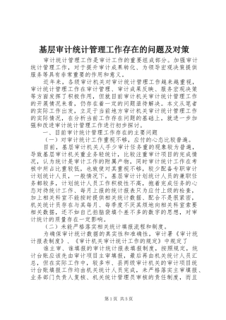 2024年基层审计统计管理工作存在的问题及对策