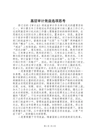 2024年基层审计效益选项思考