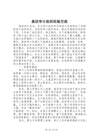 2024年基层审计组织经验交流