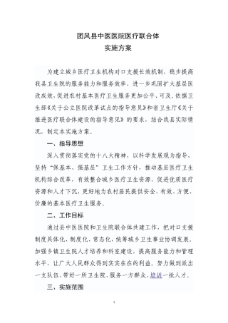 团风县组建医疗联合体工作方案