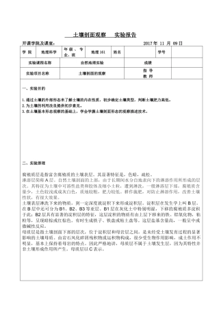 土壤剖面观察实验报告
