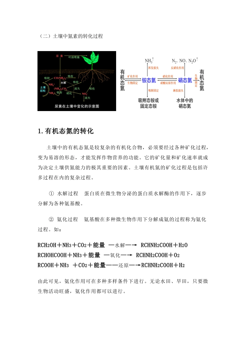 土壤中氮素转化过程及植物吸收方式(土壤部分初稿)_第2页