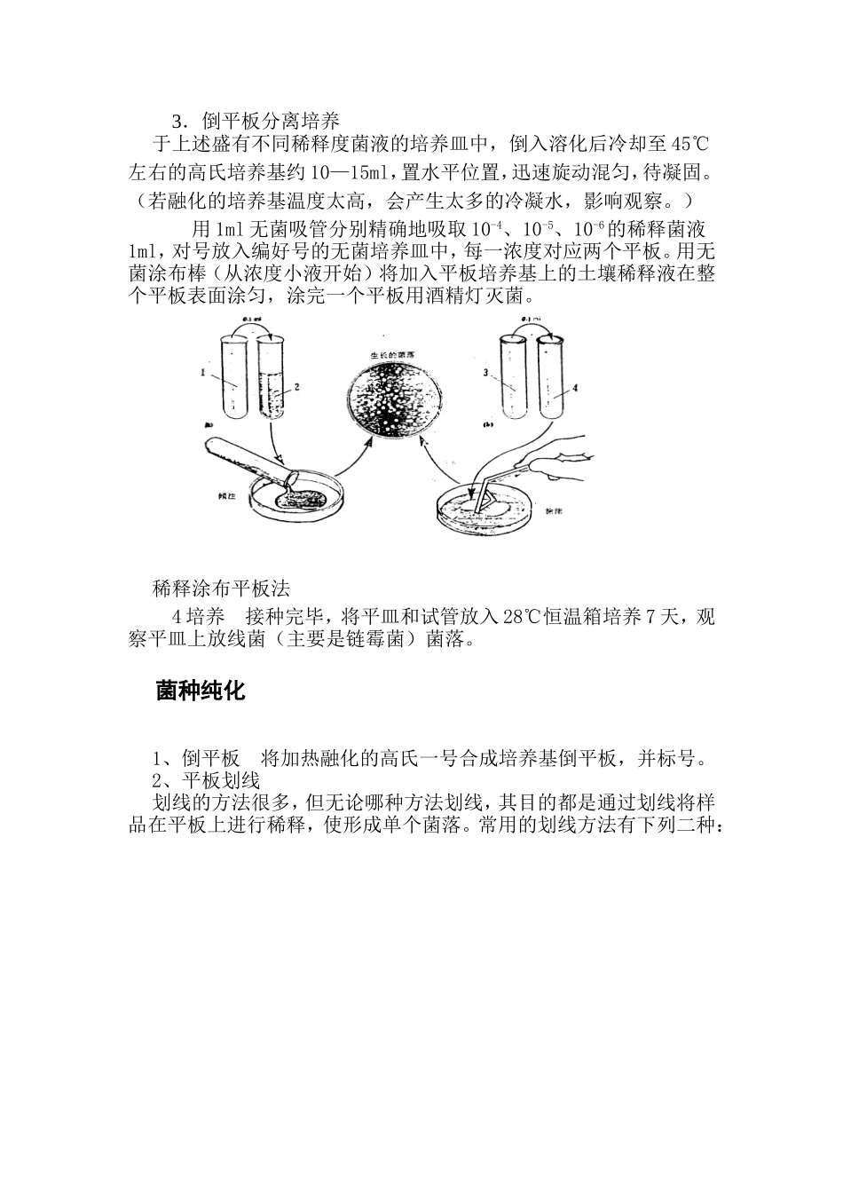 土壤中放线菌的分离与纯化_第3页