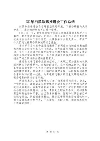 2024年扫黑除恶推进会工作总结