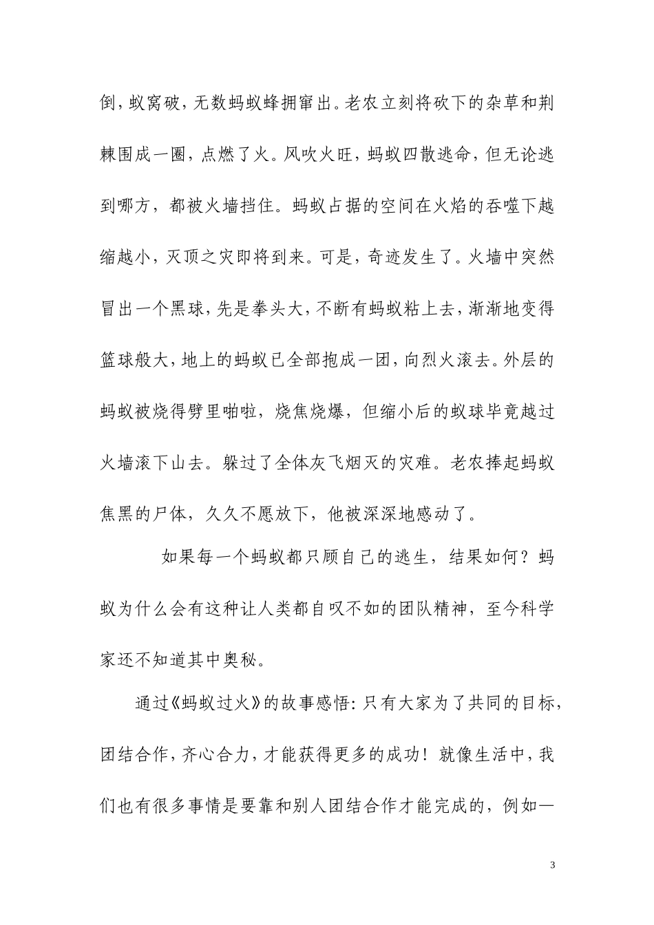 团结合作力量大活动策划_第3页