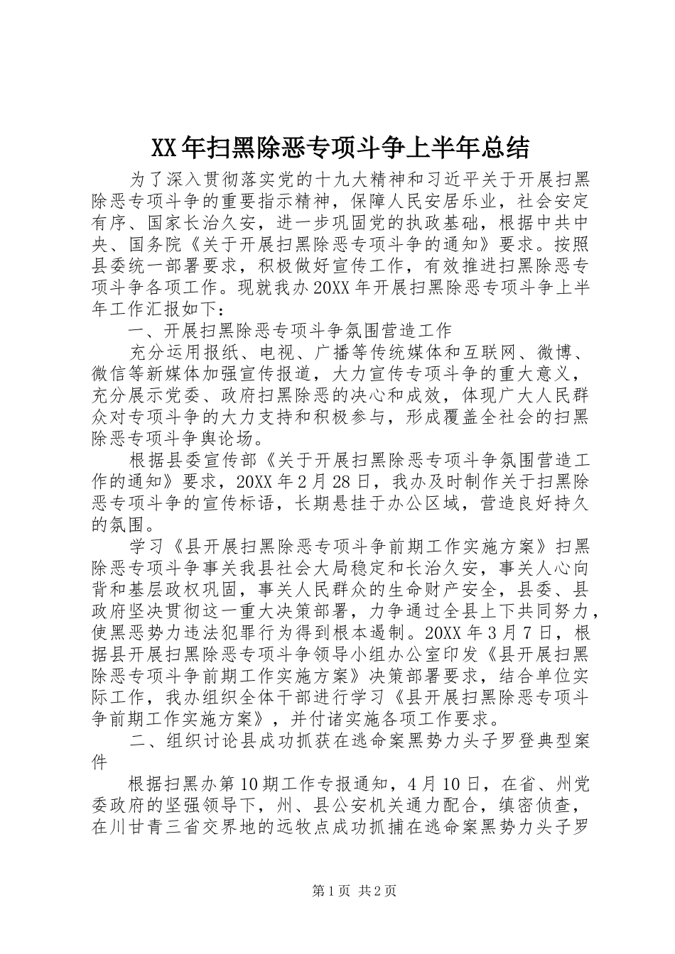 2024年扫黑除恶专项斗争上半年总结_第1页