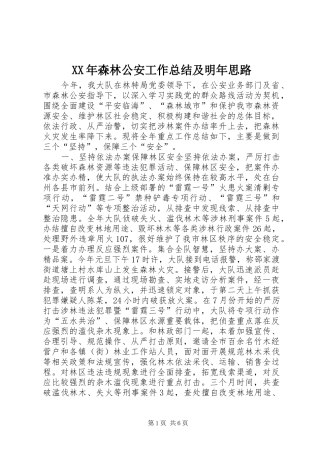 2024年森林公安工作总结及明年思路