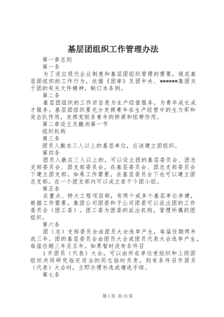 2024年基层团组织工作管理办法