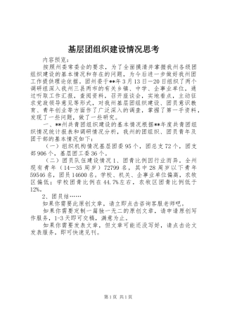 2024年基层团组织建设情况思考