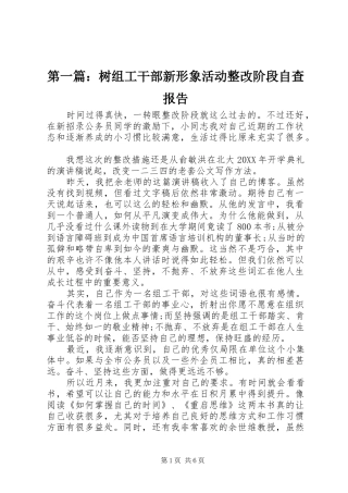2024年树组工干部新形象活动整改阶段自查报告