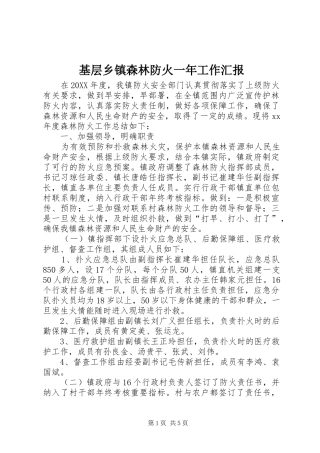 2024年基层乡镇森林防火一年工作汇报