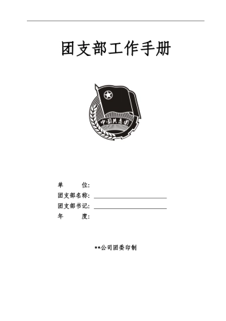 团支部工作手册(同名18633)