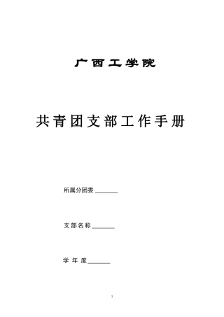 团支部工作手册(同名23363)