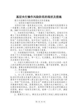 2024年基层央行操作风险防范的现状及措施