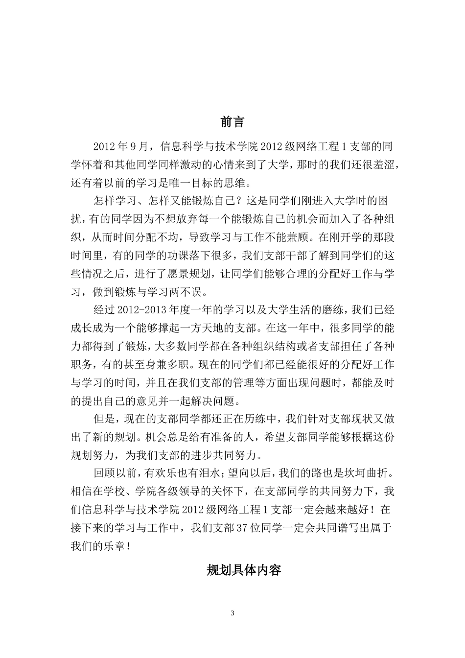 团支部愿景设计大赛规划书_第3页