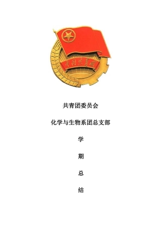 团总支07-08学年第一学期总结