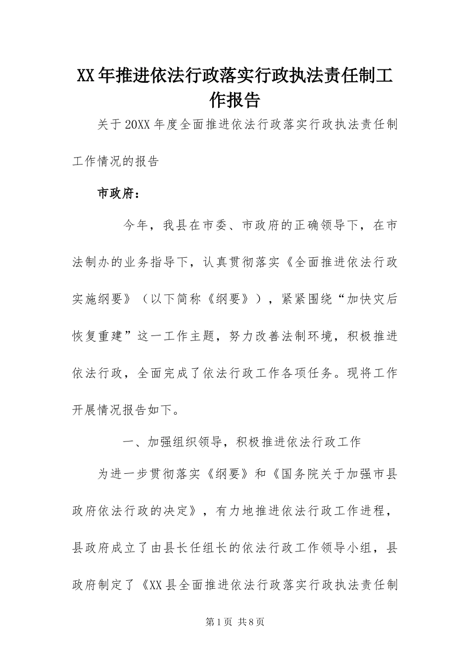 2024年推进依法行政落实行政执法责任制工作报告_第1页