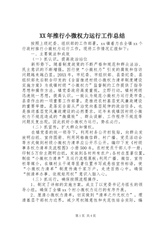 2024年推行小微权力运行工作总结