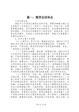 2024年微贷总结体会