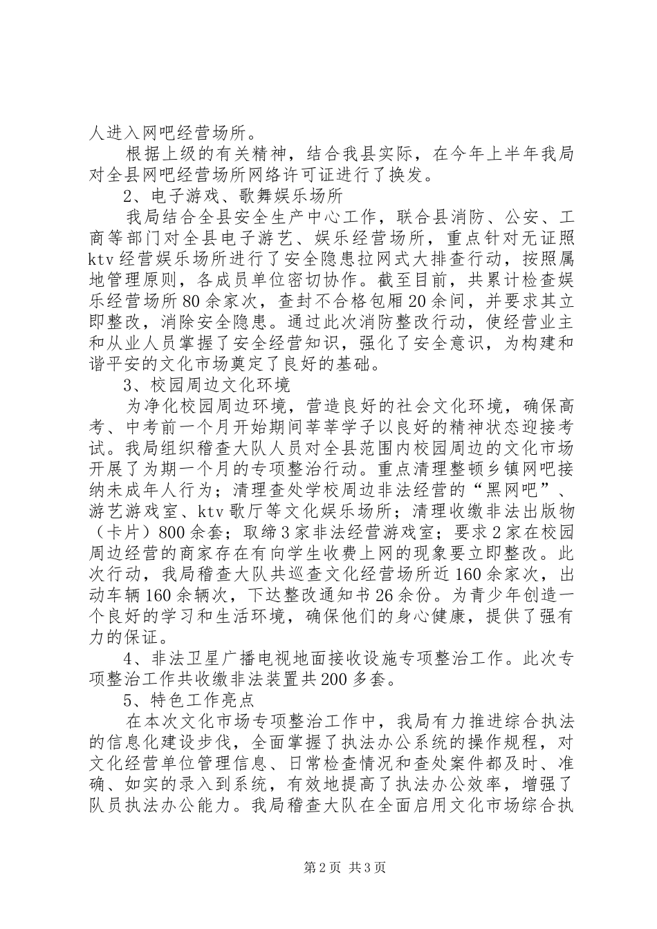2024年文化市场整治工作总结_第2页