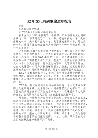 2024年文化网副主编述职报告