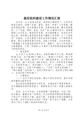 2024年基层组织建设工作情况汇报