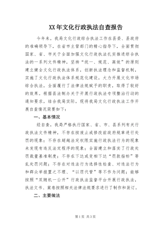 2024年文化行政执法自查报告