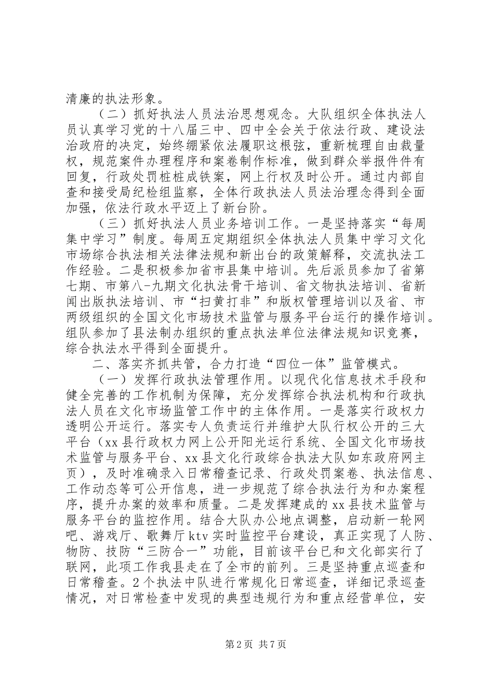 2024年文化行政综合执法大队工作总结_第2页